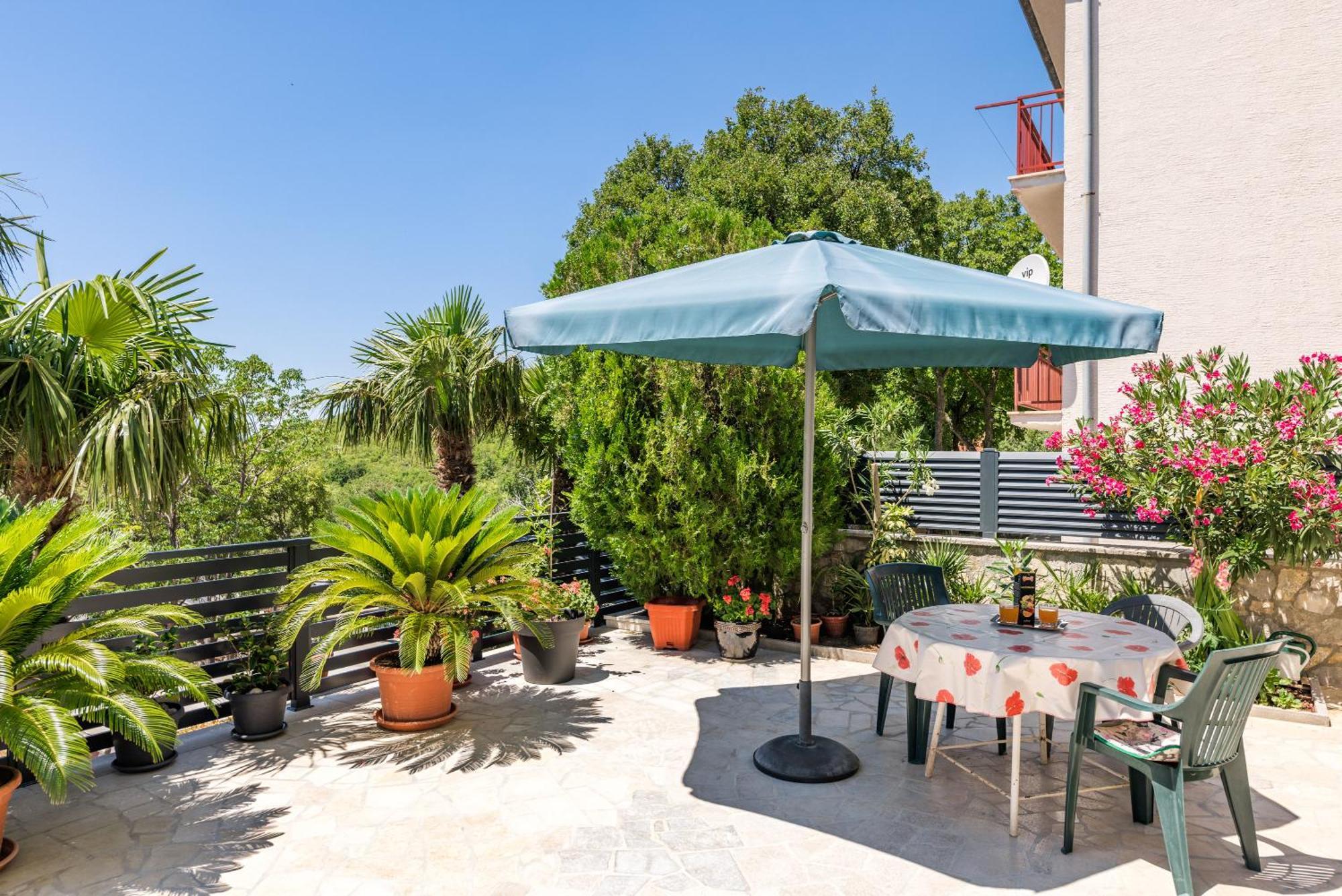 Apartment Katica *